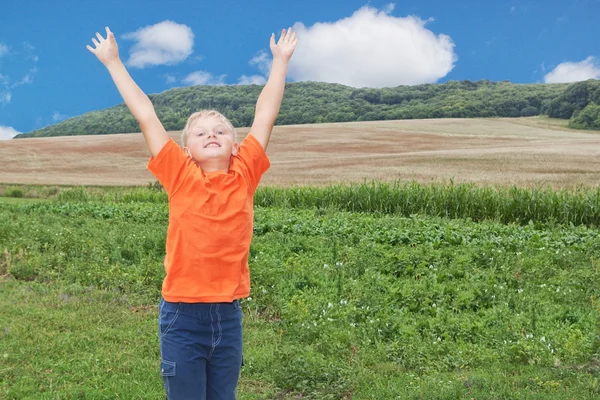 A boy in a landscape. With raised hands. Royalty Free Stock Photos