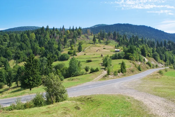 Route de Carpates été paysage. — Photo