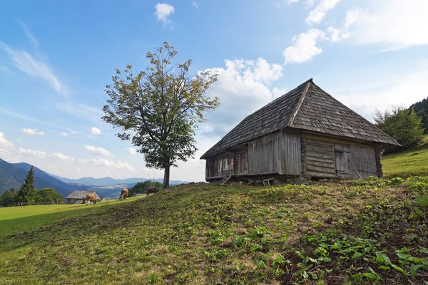 Классический старый деревянный дом в ландшафте Карпат. — стоковое фото