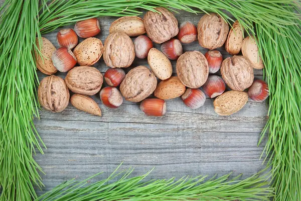 The frame of the branches of the Christmas tree and nuts. — Stock Photo, Image