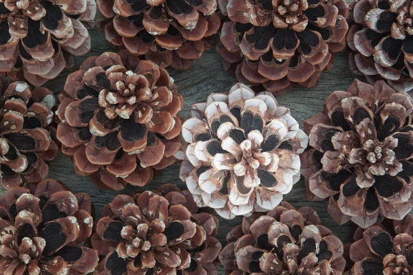 Group Christmas cones on a textured wood. — kuvapankkivalokuva