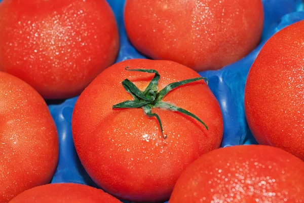 Tomatoes in a box close up. — Stock Photo, Image