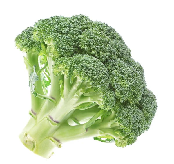 Verdure, broccoli freschi su sfondo bianco. — Foto Stock