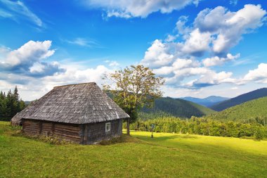 dağ ve orman ahşap evi terk etti. carpa