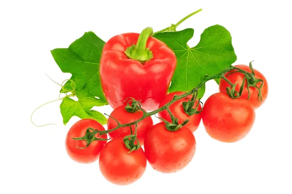 Arranjo de vermelho tomate, pimentões e folhas de uva verdes. — Fotografia de Stock