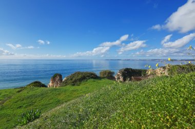 Güzel deniz manzarası ile çim alan?? Portimao, Portekiz.
