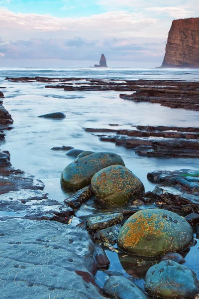 Aguja de piedra paisaje marino. Portugal Costa vicentina. —  Fotos de Stock