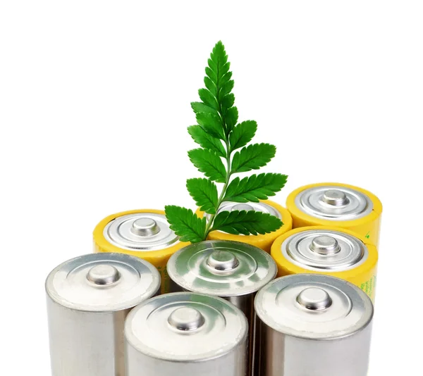 Щелочные батареи и зеленый лист символ чистой энергии. — стоковое фото