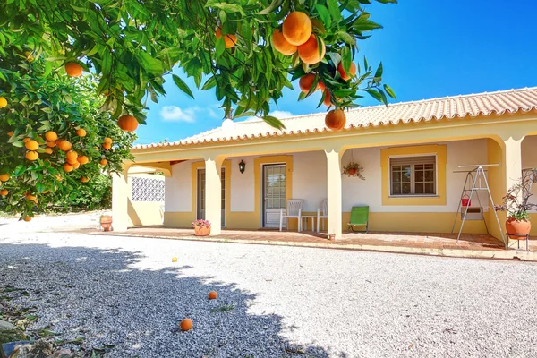 Een typisch huis voor de zomervakantie met oranje tuin. — Stockfoto