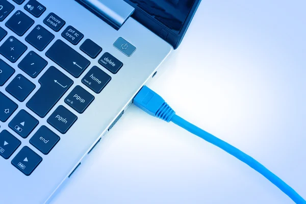 Network cable to connect the network of the Internet to the lapt — Stock Photo, Image