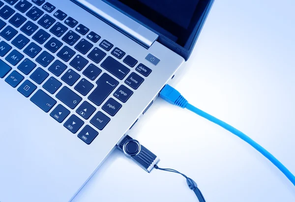 Netwerkkabel om verbinding maken met het netwerk naar de laptop en USB-pen-d — Foto de Stock