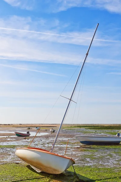 Marine Boot met een mast na hoog water in de baai. zomer. — Stockfoto