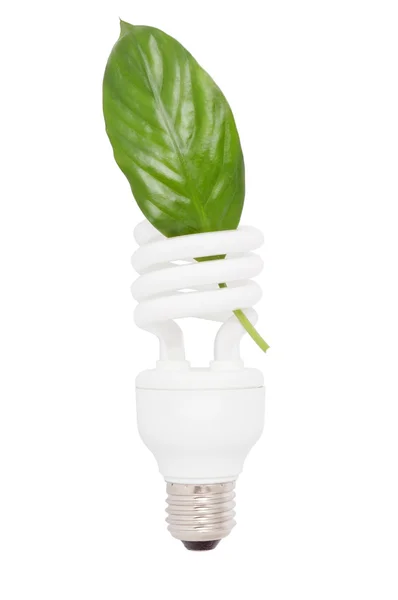 Lampe fluorescente pour économiser de l'électricité et écologiquement propre. Wit — Photo