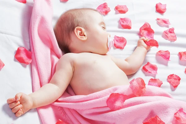 The one-year baby sleeping and wrapped pink flower petals. Cover — Stock Photo, Image