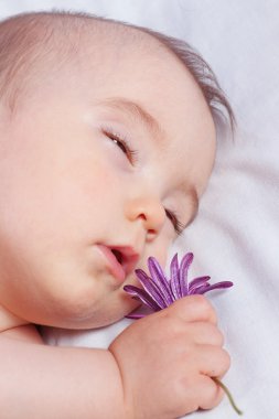 bir çiçek tutan bebek uyuyor. yakın çekim yatakta.