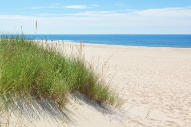Dunes plaja yakın güneşli bir plaj. Yaz.
