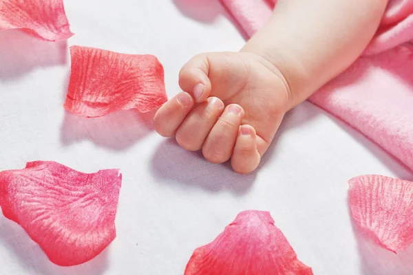 Cute hand the sleeping baby and around the petals of roses. Clos - Stock-foto