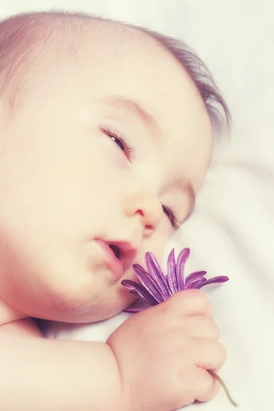 Sleeping a baby in warm colors and holding a flower. Close-up. - Stock-foto