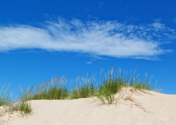 Sand dunes on the background of blue sky. Summer. — Stock Photo, Image