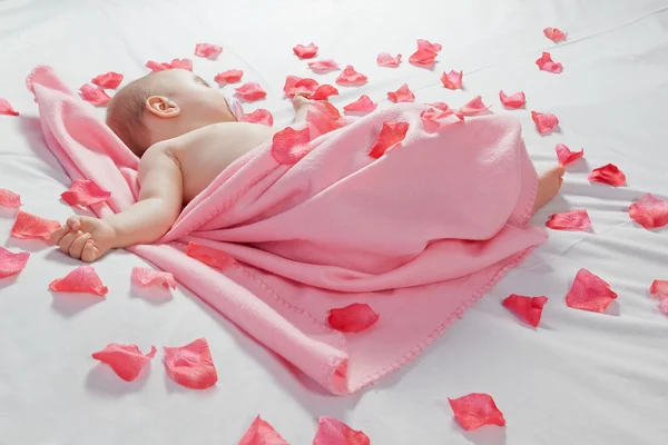 Bambino che dorme coperto con una coperta rosa intorno a lui e rosa pe — Foto Stock