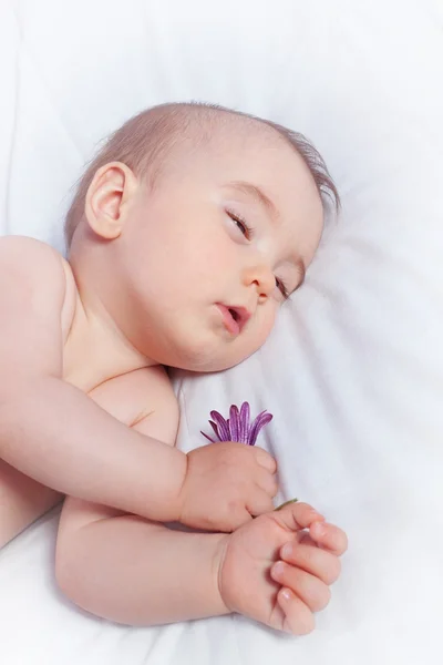 Schläft ein Baby hält eine Blume. close-up. — Stockfoto