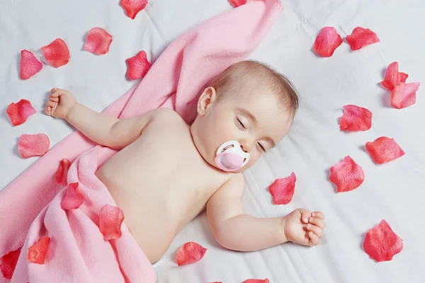 Lindo bebé duerme en el fondo de pétalos de rosa. Close-up. — Foto de Stock