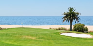 panoramik deniz ve palmiye ağaçları için golf sahası. Po