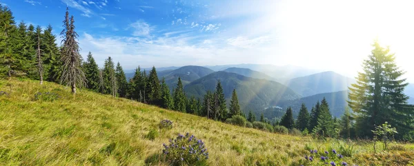 Panorama view of the Carpathian Mountains above Lake Sinevir. Uk — Stock Photo, Image