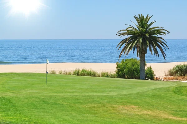 Prachtig uitzicht op de golfbaan aan de zee en palm bomen. por — Stockfoto