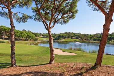 Güzel park golf bir oyun için. göl ve çeşme ile.