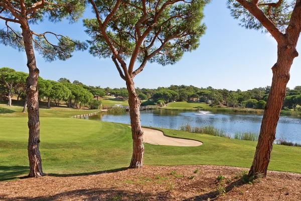 Beau parc pour une partie de golf. avec le lac et la fontaine. — Photo