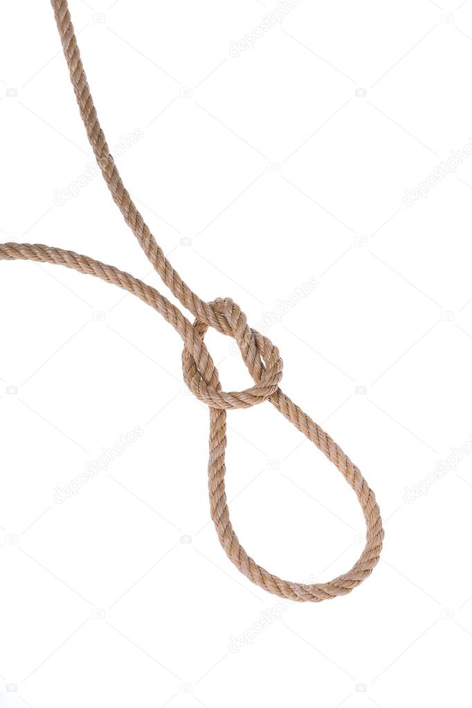 Thick ropes of flax tied in noose for hanging. On a white background.