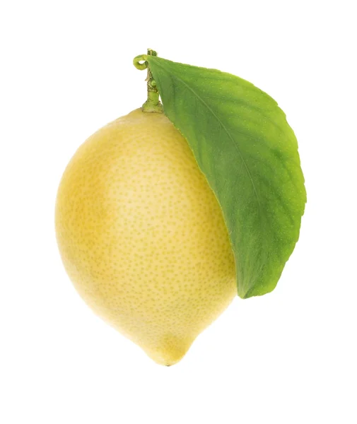 Ripe yellow lemon with green leaf. Close up on white background. — Stock Photo, Image