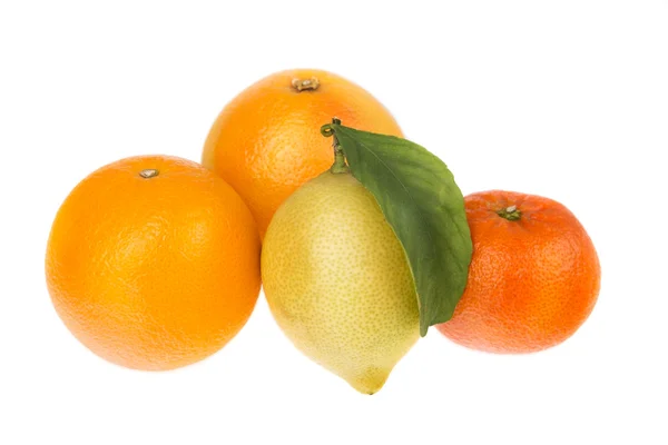 Ομάδα των εσπεριδοειδών μανταρίνι πορτοκάλι και λεμόνι. σε λευκό φόντο. — Φωτογραφία Αρχείου