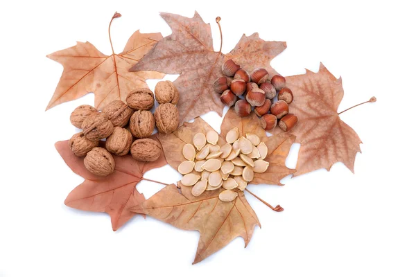 Autumn theme with yellow leaves, nuts and pumpkin seeds. Gifts of nature. — Stock Photo, Image