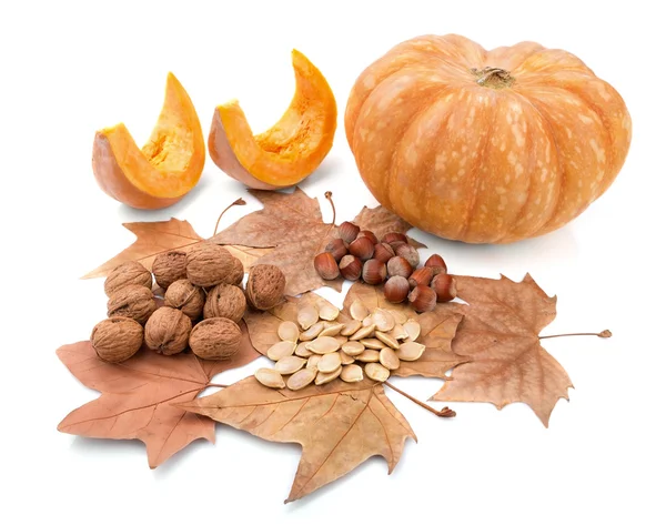 Autumn composition of beautiful gifts of nature. — Stock Photo, Image