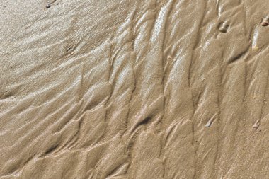 güzel dekoratif doku kum plaj. Yaz.