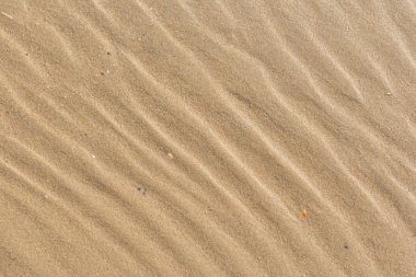 Kumsalda ıslak kum doku. Yaz.