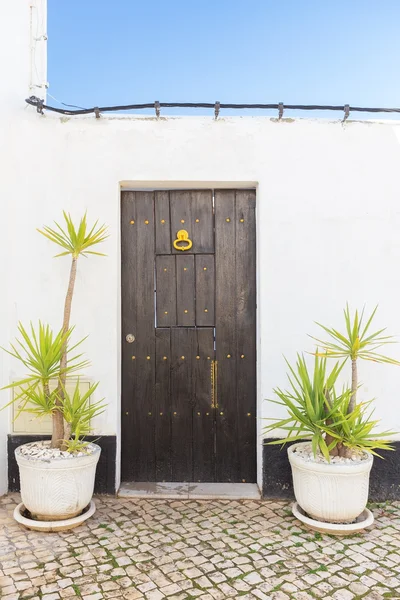 Ročníku staré dveře a vázy pro rostliny. tradičně portugalština. — Stock fotografie