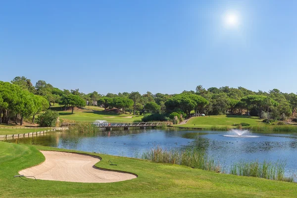 En grön gräsmatta till sjön, golfbana. för en semester. — Stockfoto