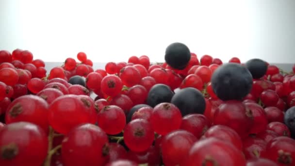 Dzikie jagody, czerwone porzeczki Czerwona porzeczka kłamią, a czarne borówki spadają w zwolnionym tempie. Świeże owoce na deser. — Wideo stockowe
