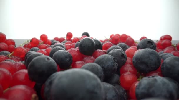 Dzikie jagody, czerwone porzeczki i czarne borówki polane są rozpryskami wody, w zwolnionym tempie. Świeże owoce na deser. — Wideo stockowe