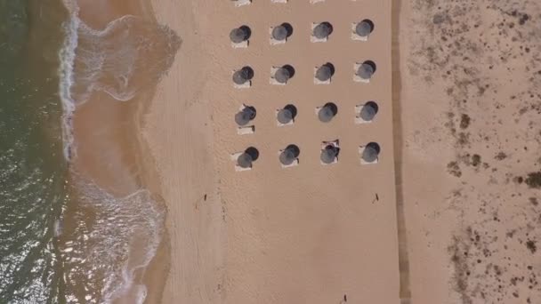 포르투갈 해변 휴양지의 꼭대기 항공 사진. 가석방 과 햇볕 라운지 는 노란 해변의 꼭대기에서 아래까지 이다. 알가르브 — 비디오