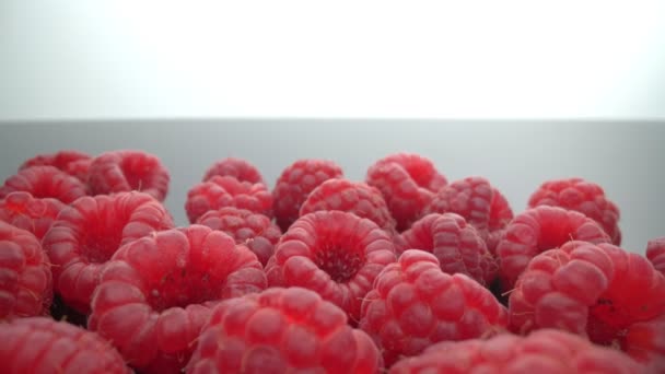 Ripe, segar, alami raspberry, dalam makro ekstrim, dekat. Bergerak maju, mundur. — Stok Video