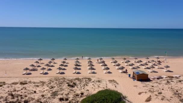 Luftaufnahme der Badestrände an den Ufern der Sanddünen. Sonnenschirme und Liegestühle für Touristen. — Stockvideo