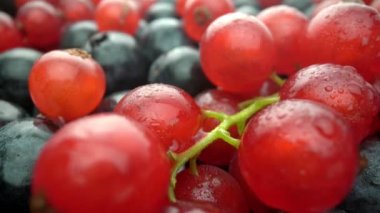 Yaban mersini, kırmızı frenk üzümü ve siyah yaban mersini yavaş çekimde. Tatlı olarak taze meyve. Ekstrem makro.