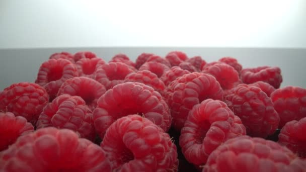 Ripe, segar, alami raspberry, dalam makro ekstrim, dekat. Bergerak maju, mundur. — Stok Video