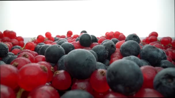 Bagas silvestres, groselhas vermelhas e mirtilos pretos em movimento, em câmera lenta. Frutos frescos para sobremesa. macro extrema. — Vídeo de Stock