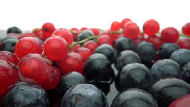 Dzikie jagody, czerwone porzeczki i czarne borówki w ruchu, w zwolnionym tempie. Świeże owoce na deser. Ekstremalne makro. — Wideo stockowe