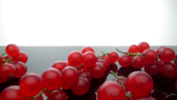 Mogna ekologiska röda vinbär, på en glasyta. Närbild. Framåtgående rörelse. Extremt makroekonomiskt. — Stockvideo